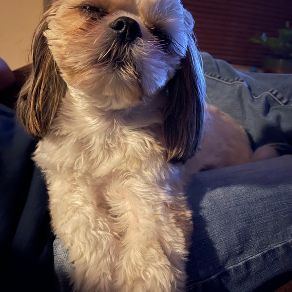 Meet your Posher, Jacksyn - Picture 13 of 16